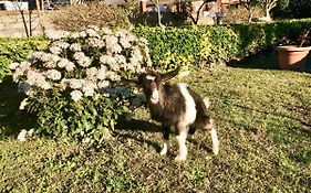 B&B Annetta